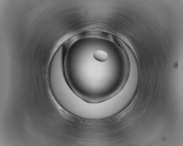 X0000090961434200708161807