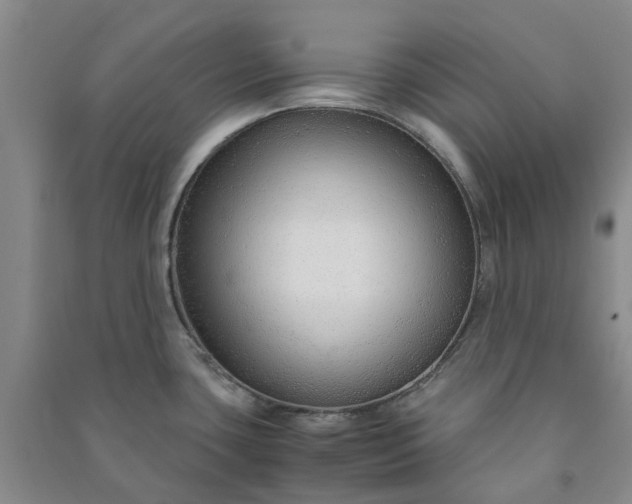 X0000090961435200708161807