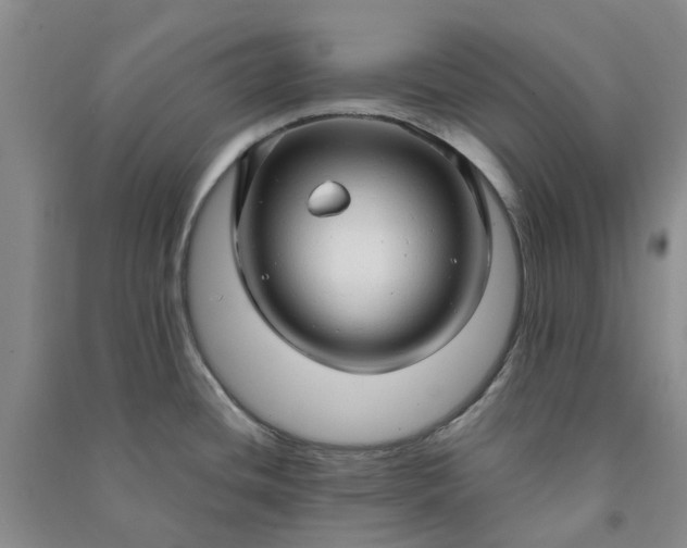 X0000090961436200708161807