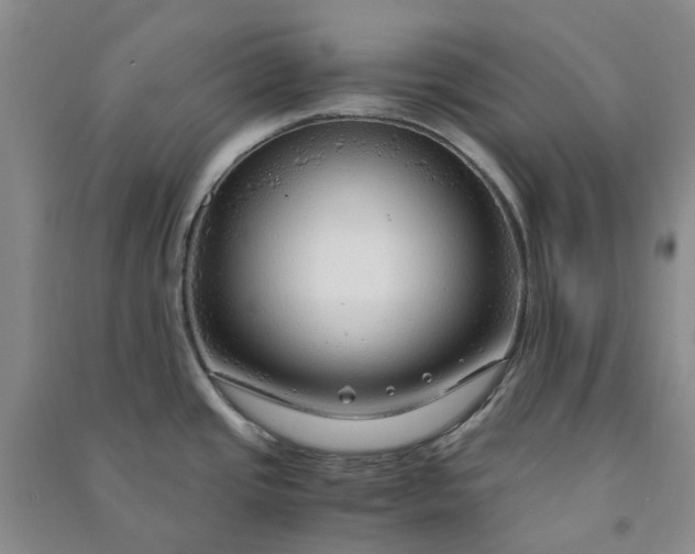 X0000090961437200708161807
