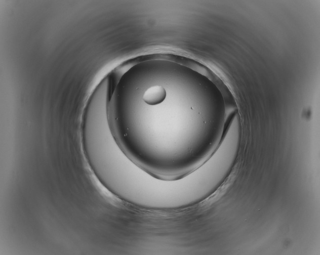 X0000090961438200708161807