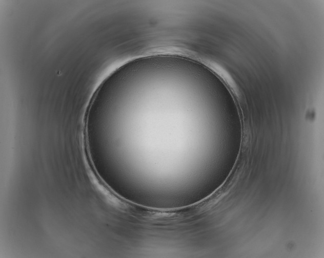 X0000090961439200708161807