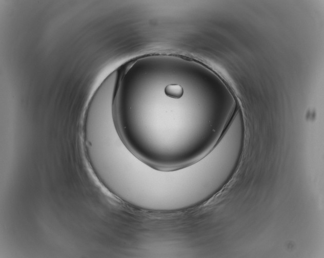 X0000090961440200708161807