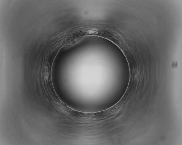 X0000090961442200708161806
