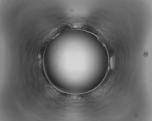 X0000090961443200708161806