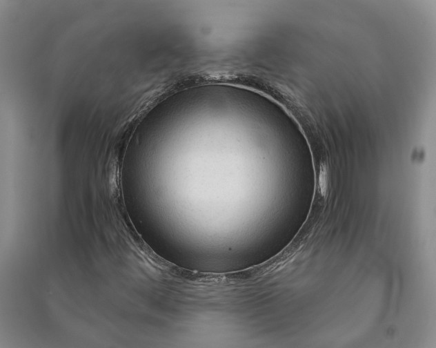 X0000090961444200708161806
