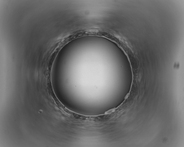 X0000090961445200708161806