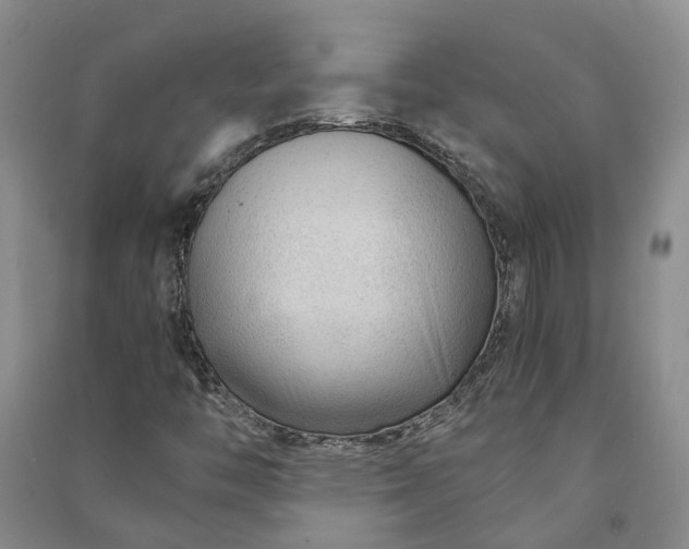X0000090961446200708161806