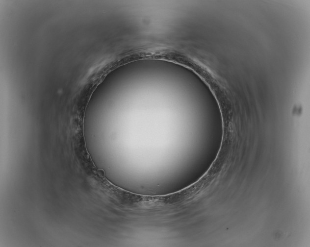 X0000090961447200708161806
