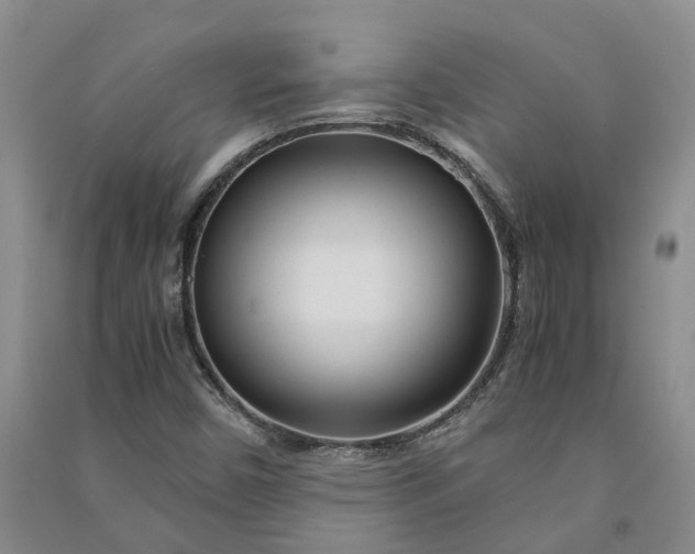 X0000090961450200708161806