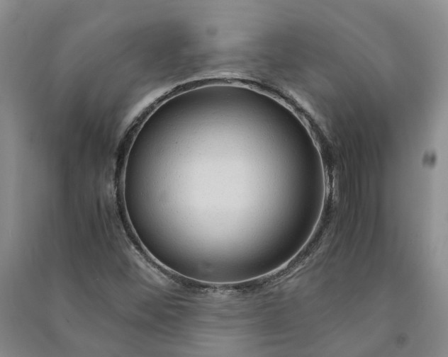 X0000090961452200708161806
