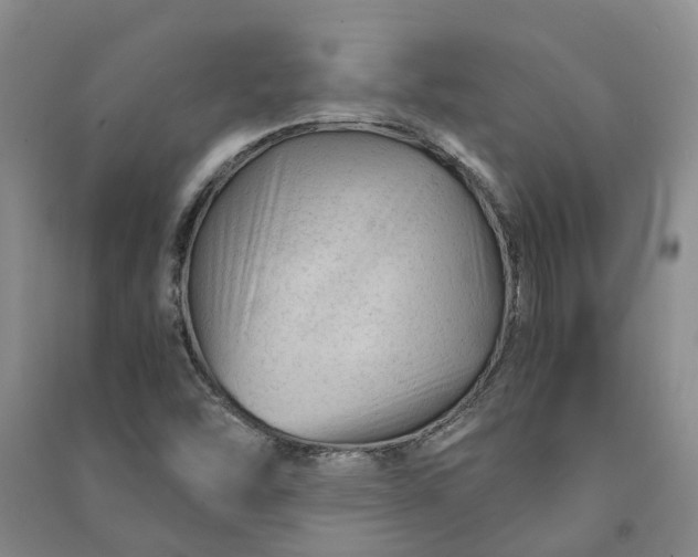 X0000090961454200708161806