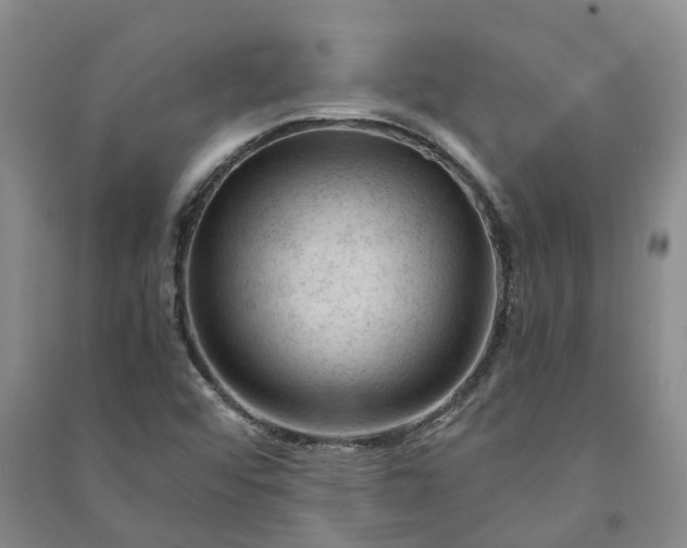 X0000090961456200708161806