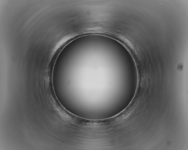 X0000090961458200708161806