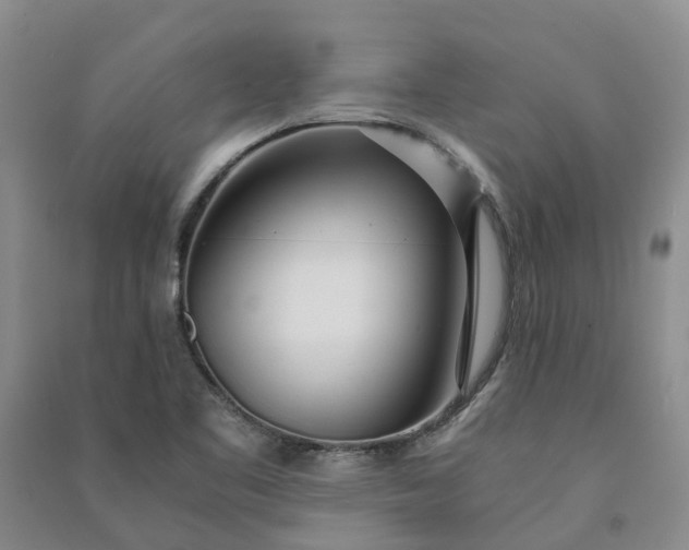 X0000090961461200708161806