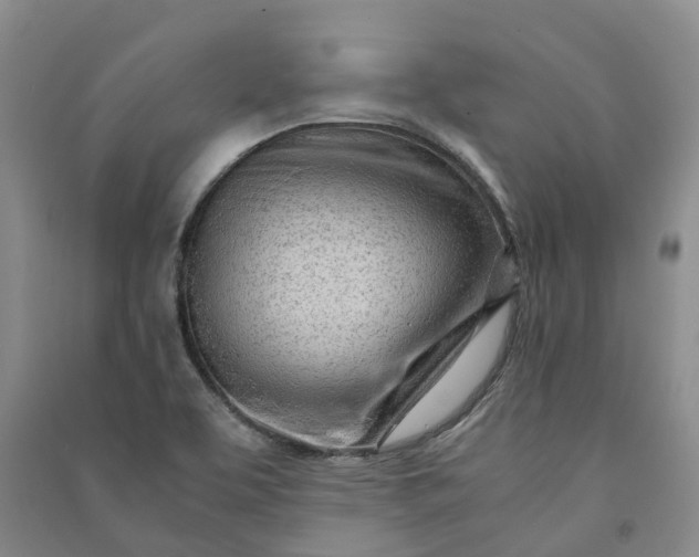 X0000090961463200708161806