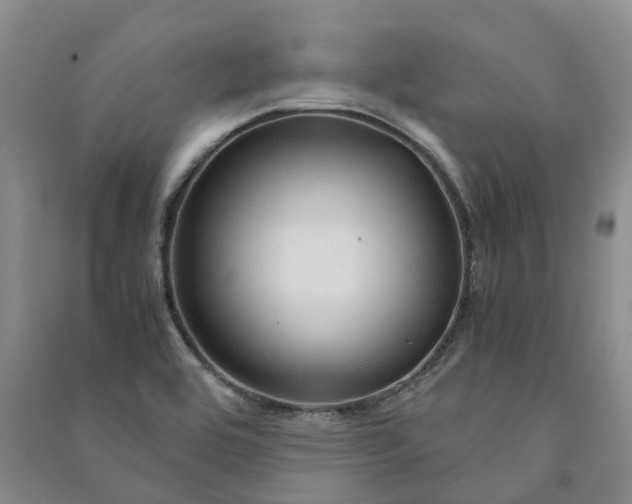 X0000090961464200708161806