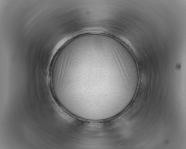 X0000090961466200708161806
