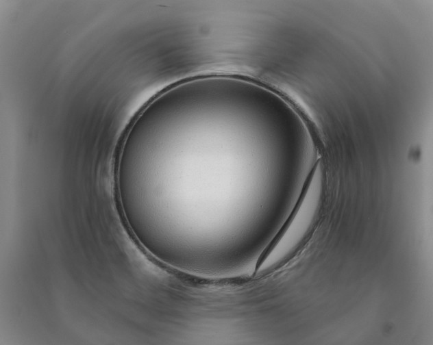 X0000090961468200708161806