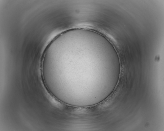 X0000090961470200708161806