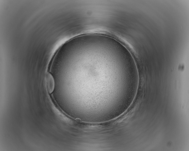X0000090961471200708161806