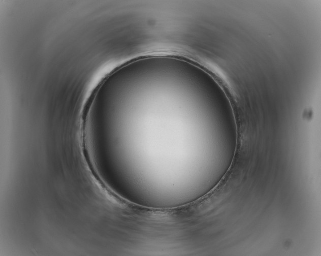 X0000090961472200708161806