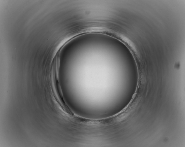 X0000090961473200708161806