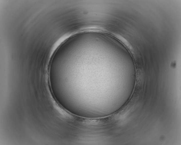X0000090961474200708161806