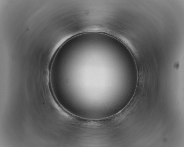 X0000090961476200708161806