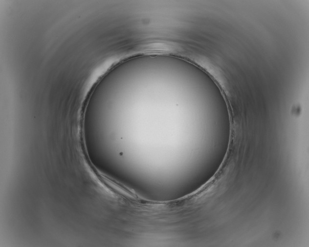 X0000090961477200708161806