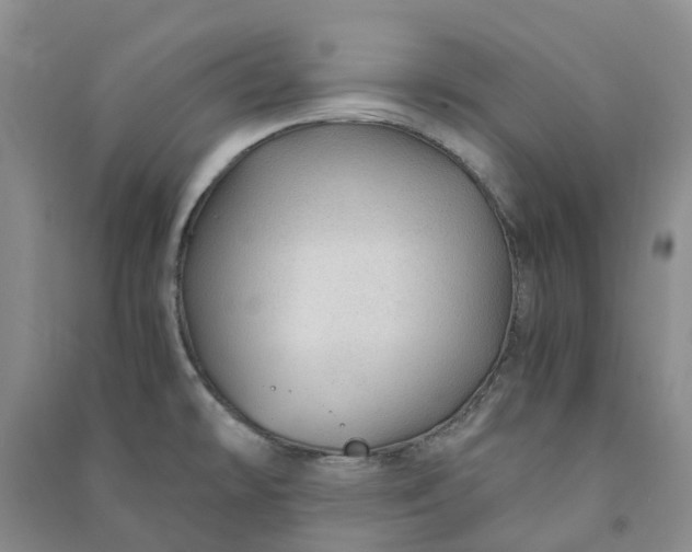 X0000090961478200708161806
