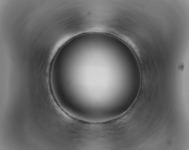 X0000090961480200708161806