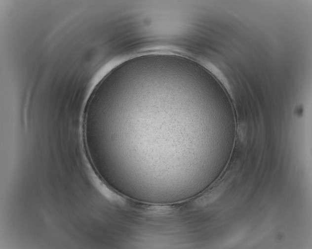 X0000090961482200708161806
