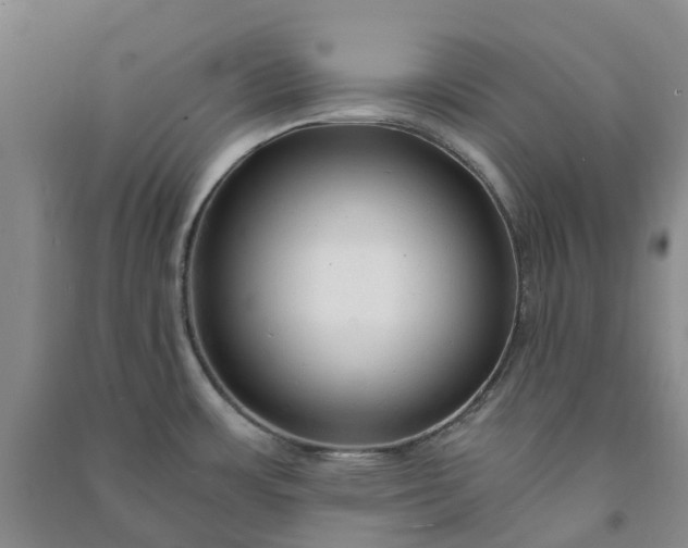 X0000090961483200708161806