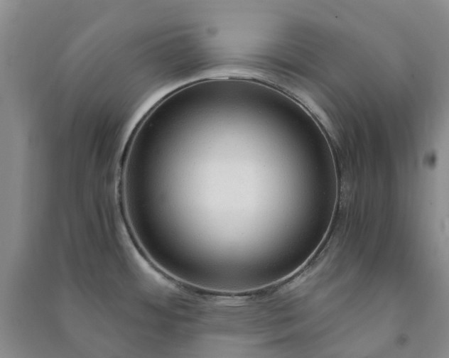 X0000090961484200708161806