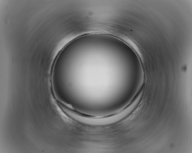 X0000090961485200708161806