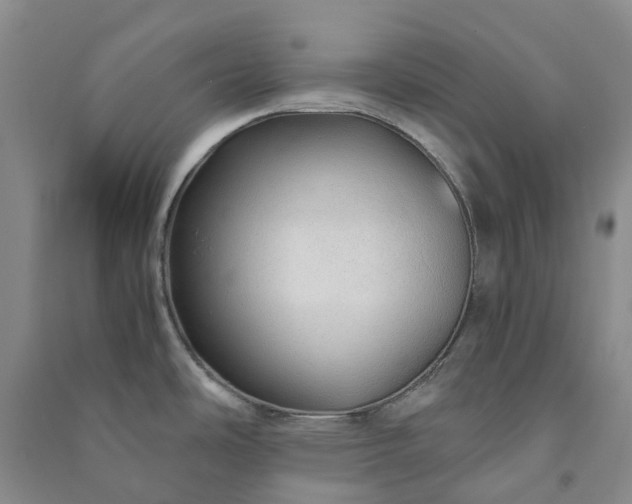 X0000090961486200708161806