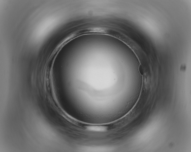 X0000090961487200708161806