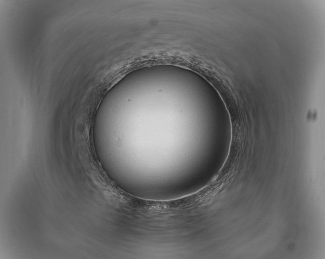 X0000090961489200708161805