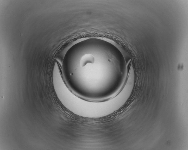X0000090961490200708161805