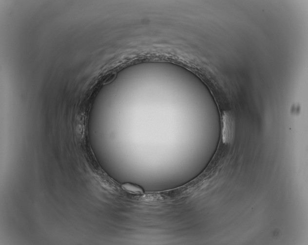 X0000090961491200708161805