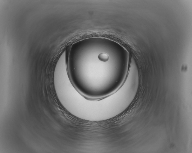 X0000090961492200708161805