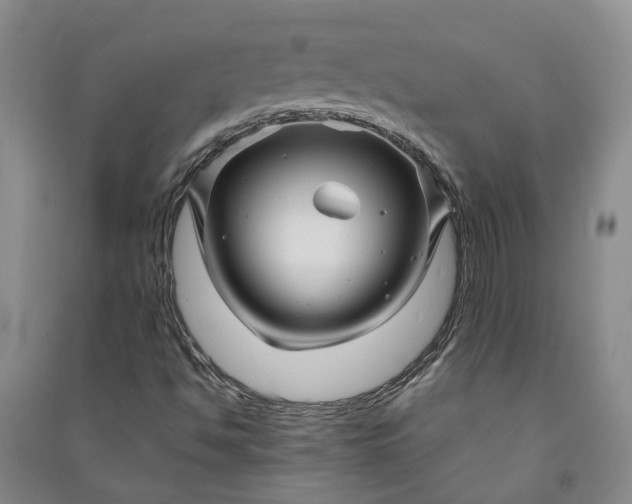 X0000090961494200708161805