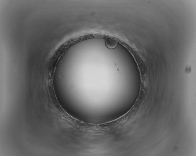 X0000090961495200708161805