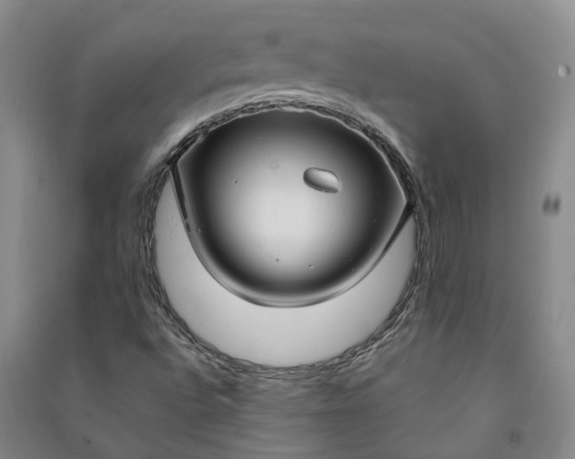 X0000090961496200708161805