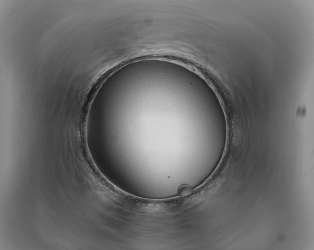 X0000090961497200708161805