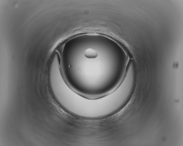 X0000090961498200708161805