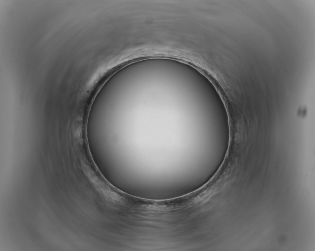 X0000090961499200708161805