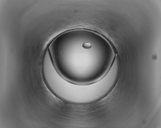 X0000090961500200708161805