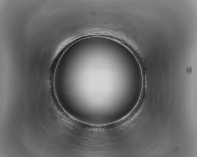 X0000090961501200708161805